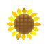 a rotating sunflower.